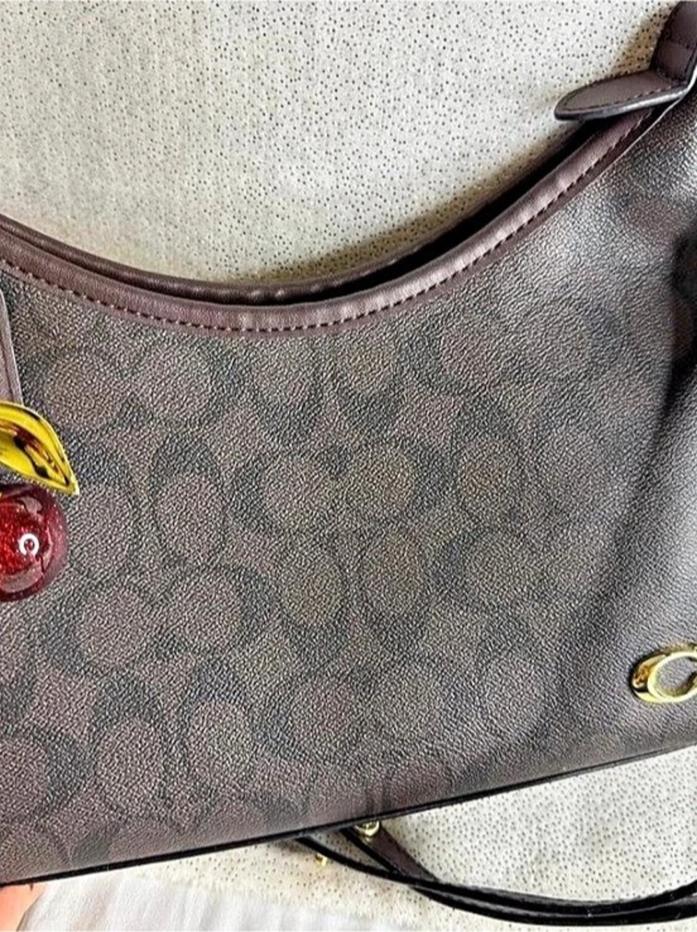 Coach Teri Shoulder Bag in Signature Canvas with Cherry Print Brown & Gold